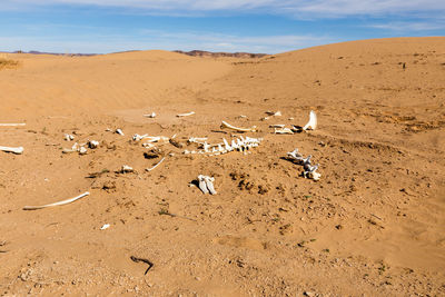 Aerial view of a desert