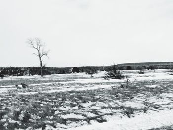 Scenic view of snow covered landscape