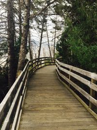 Footbridge in forest against sky