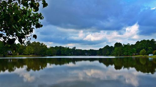 Reflection of trees in calm lake