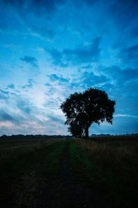 Tree on field against blue sky