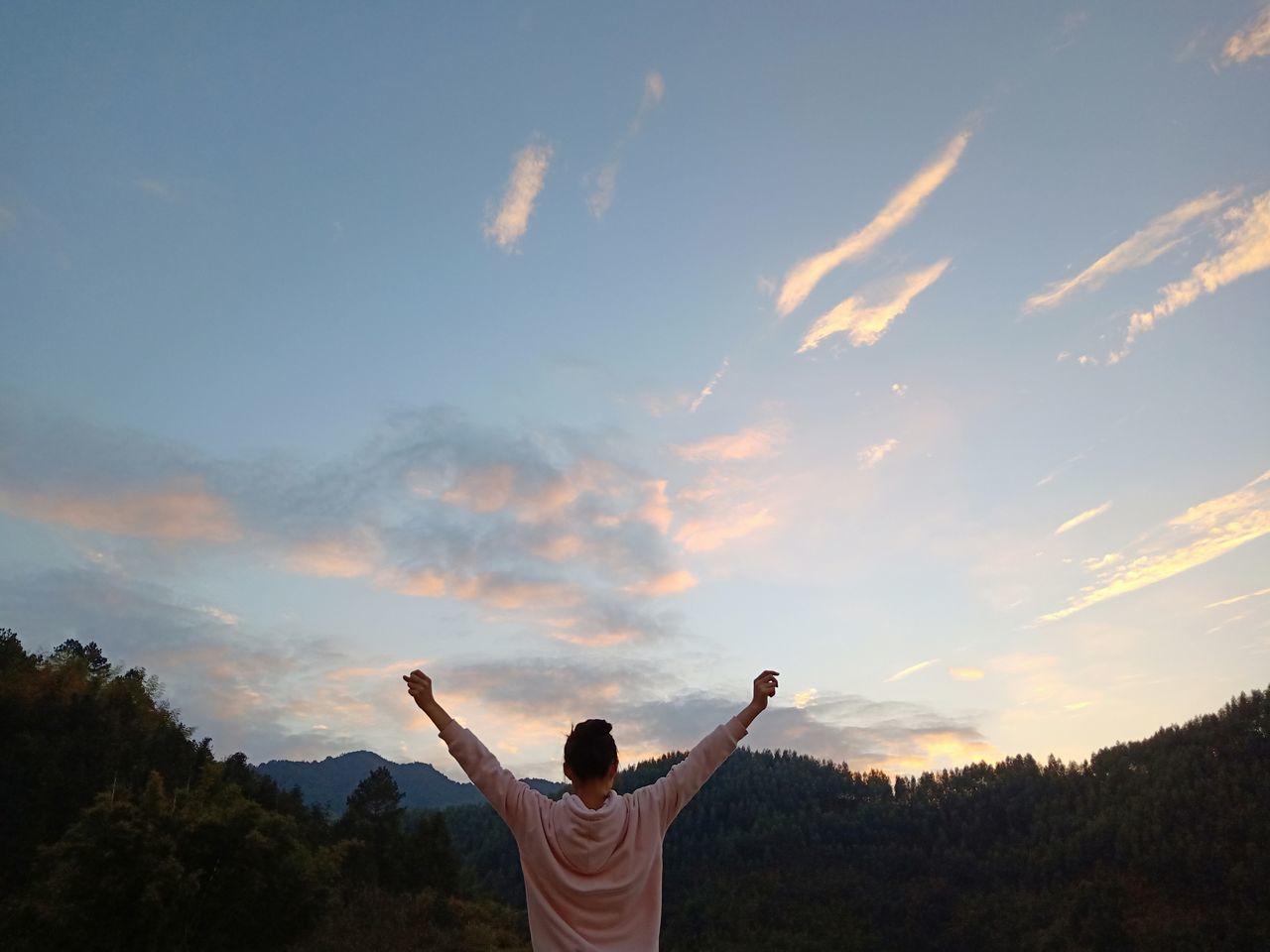 real people, sky, human arm, one person, cloud - sky, arms raised, beauty in nature, lifestyles, rear view, leisure activity, men, nature, non-urban scene, limb, scenics - nature, standing, plant, tree, carefree, outdoors, excitement