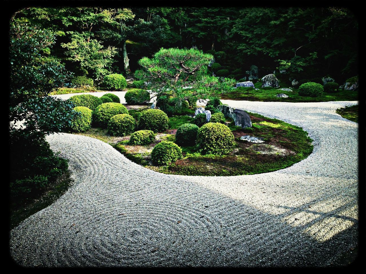 transfer print, auto post production filter, growth, green color, plant, nature, tree, beauty in nature, tranquility, high angle view, day, outdoors, footpath, sunlight, flower, no people, tranquil scene, shadow, leaf, park - man made space