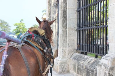 Horse cart on brick wall