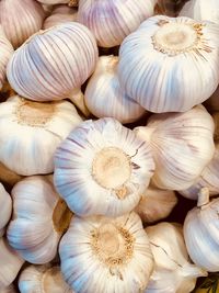 Close-up of garlic