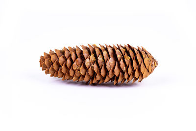 High angle view of bread against white background