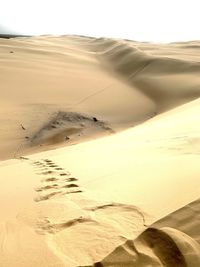 Sand dunes in desert