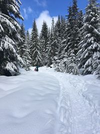 Scenic view of snow covered mountain against sky