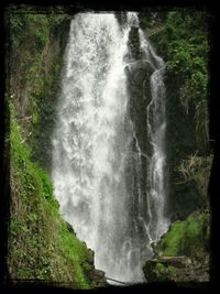 Waterfall in forest