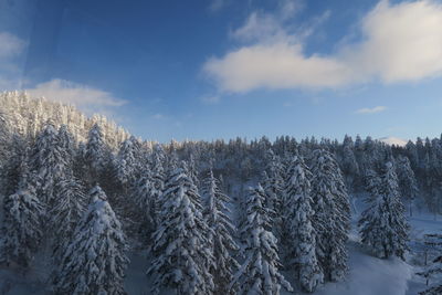 Scenic view of snow covered landscape against sky