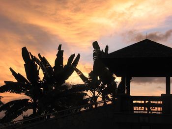 Low angle view of banana leaves by gazebo against sky during sunset