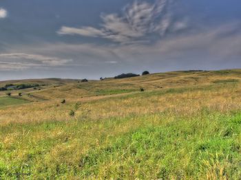 Scenic view of grassy field against cloudy sky