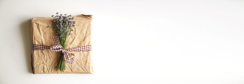 High angle view of wooden clothespin over white background