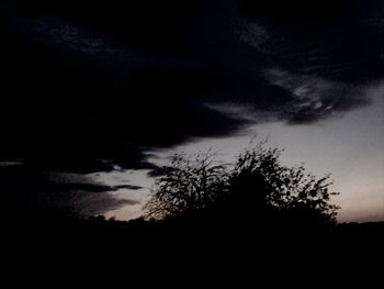 Silhouette of trees against cloudy sky