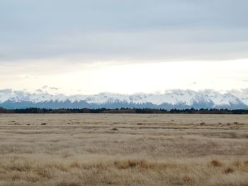 Scenic view of field against sky