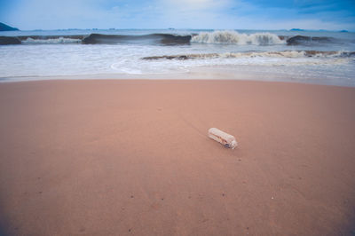 Scenic view of beach