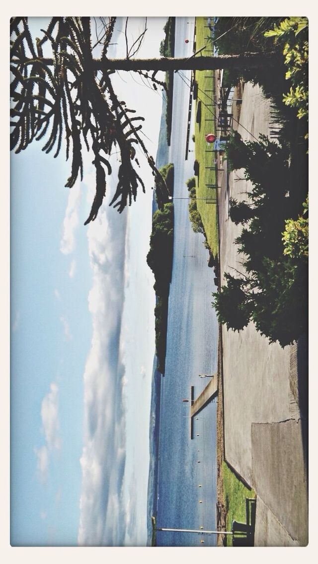 transfer print, sky, auto post production filter, tree, cloud - sky, palm tree, water, nature, tranquility, building exterior, cloud, tranquil scene, panoramic, scenics, beauty in nature, cloudy, sea, built structure, mountain, tree trunk