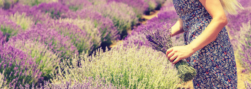 Low section of woman standing on lavender field