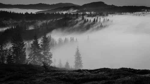 Panoramic view of landscape against sky