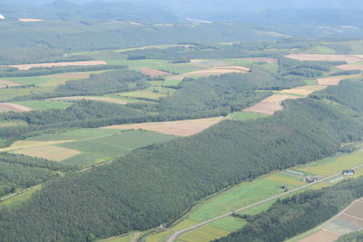 High angle view of agricultural field