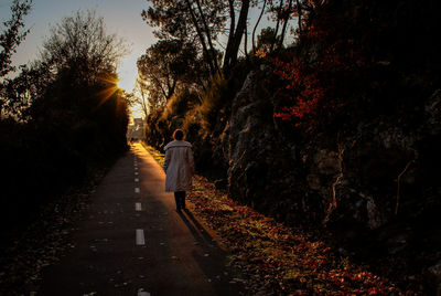 Rear view of person walking on footpath in forest