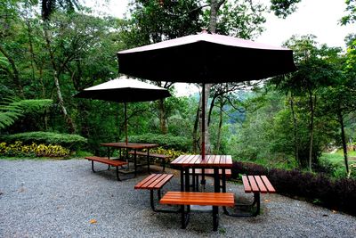 Empty chairs and table in park