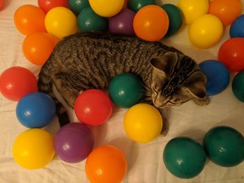 High angle view of multi colored balloons on table