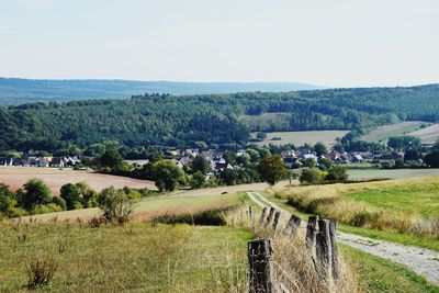 Scenic view of field against clear sky