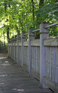 Footpath amidst trees in forest