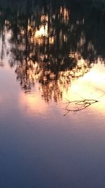 Reflection of trees in lake against sky