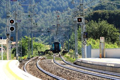 Railroad tracks by trees and plants