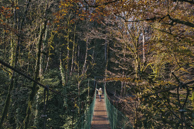 Footbridge amidst trees in forest