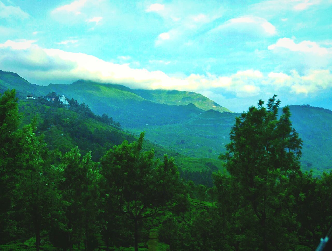 tree, nature, sky, growth, mountain, beauty in nature, tranquil scene, scenics, no people, tranquility, green color, landscape, outdoors, forest, water, cloud - sky, day, freshness