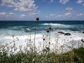 Scenic view of sea against sky