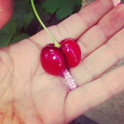 Close-up of hand holding red chili peppers