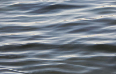 Full frame shot of rippled water