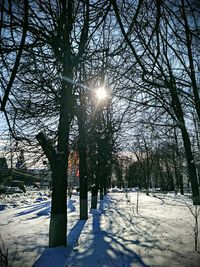 Trees on snow covered landscape during winter