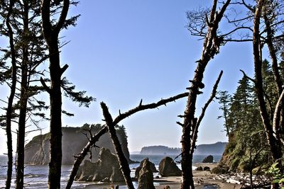 Scenic view of calm sea against blue sky