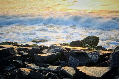 Scenic view of sea