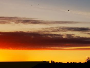 Silhouette birds flying in sky during sunset