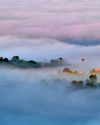 Trees peeking through a thick layer of fog during sunrise