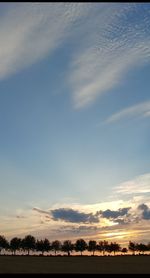 Silhouette trees on field against sky at sunset