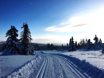 Tire tracks on snow covered landscape