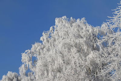 Low angle view of frozen ice against clear blue sky