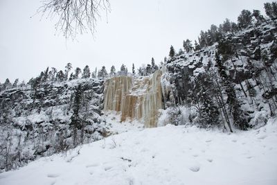 Trees on snow covered landscape against clear sky