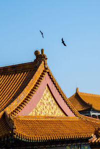 Low angle view of birds on roof of building against sky