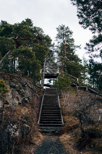 Staircase in forest against sky