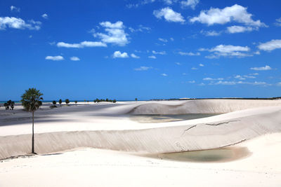 Scenic view of beach against blue sky