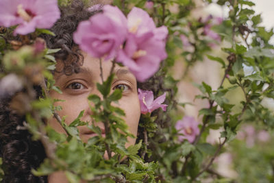 Close-up of pink flowering plant