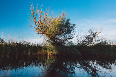 Scenic view of lake against clear blue sky